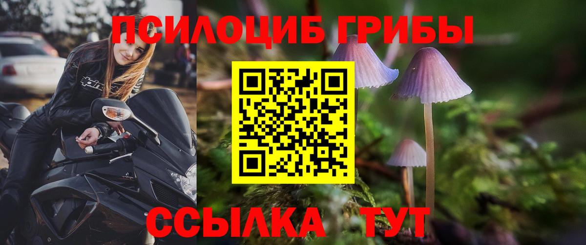 Галлюциногенные грибы Psilocybe Иваново